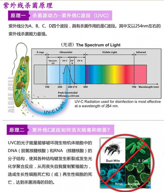 der Lichtdesinfektions-Birne des UVder lampe doppelten Rohres der Seite geraden ultraviolettes geführtes Sterilisierungsuvrohr T5 10W 15W 20W 30W 40W 16